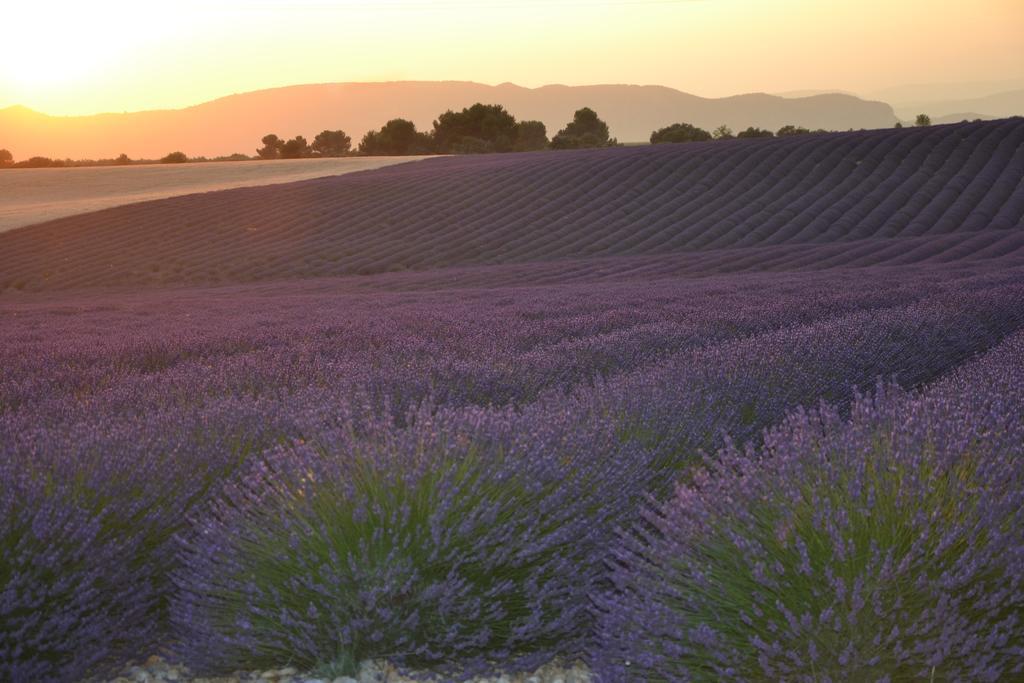 Les Terrasses De Valensole Bed & Breakfast Exterior photo