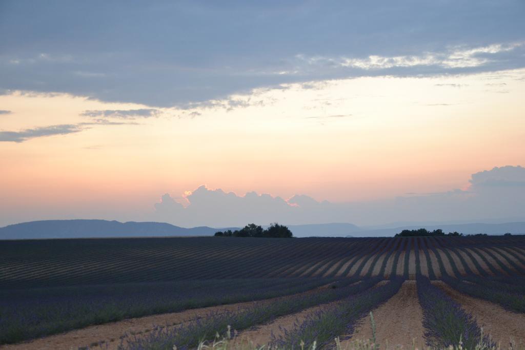 Les Terrasses De Valensole Bed & Breakfast Exterior photo
