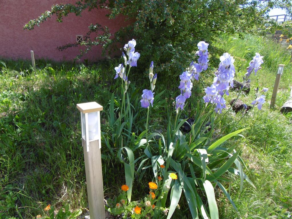 Les Terrasses De Valensole Bed & Breakfast Exterior photo